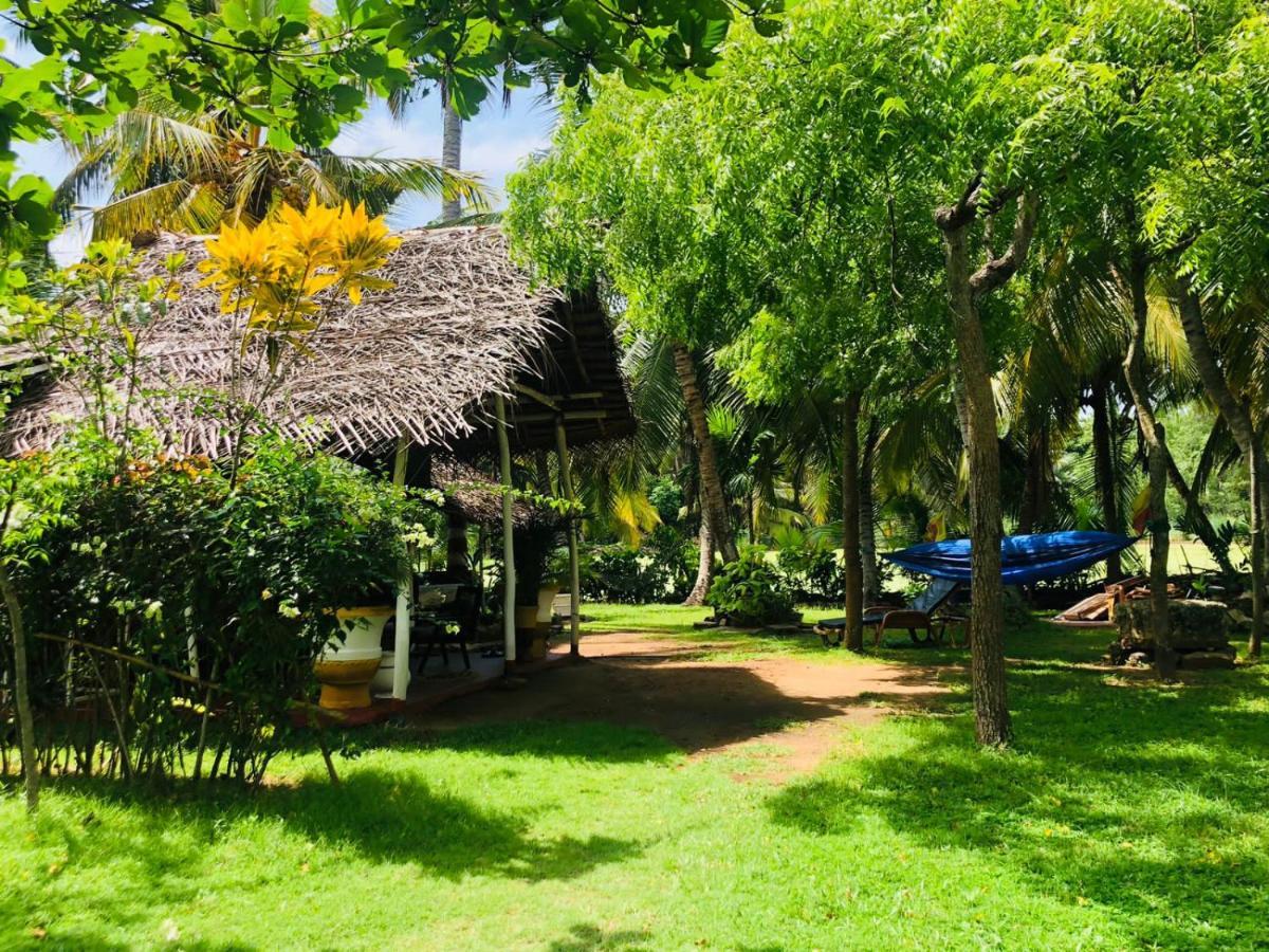 Lake View Cabana Paradise & Villa تانجالي المظهر الخارجي الصورة
