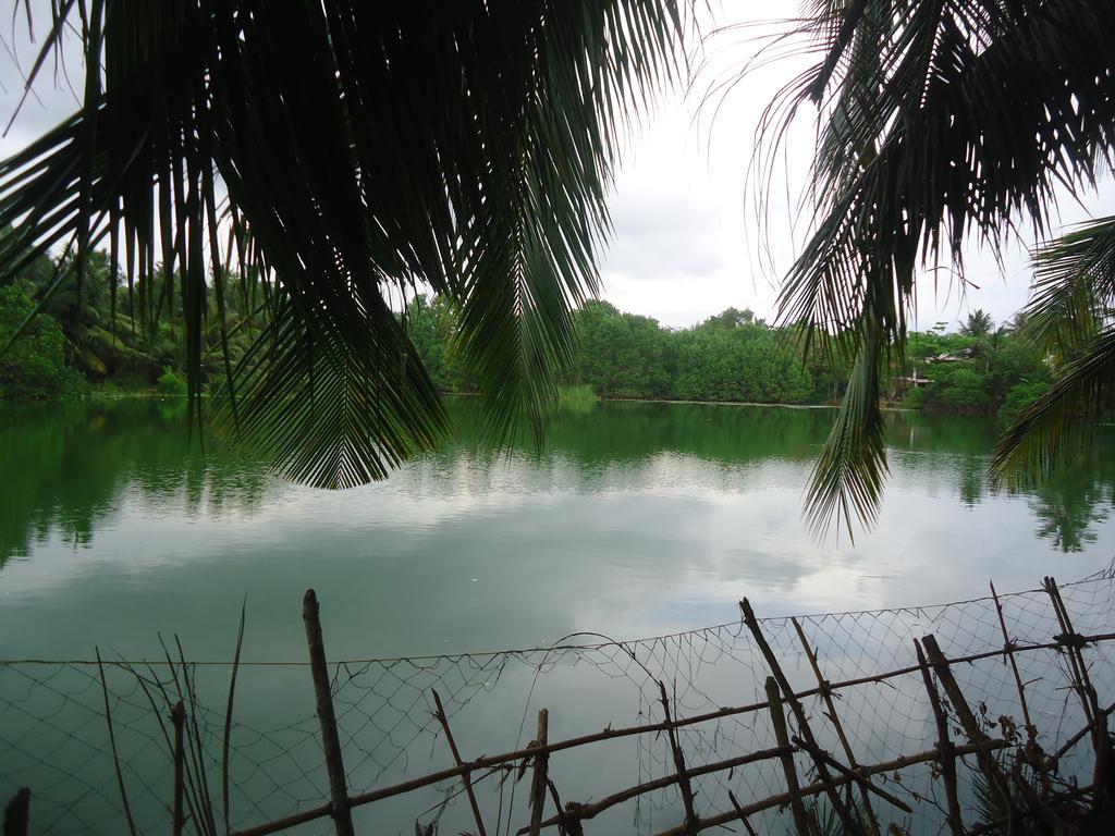 Lake View Cabana Paradise & Villa تانجالي المظهر الخارجي الصورة