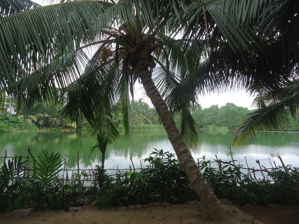 Lake View Cabana Paradise & Villa تانجالي المظهر الخارجي الصورة