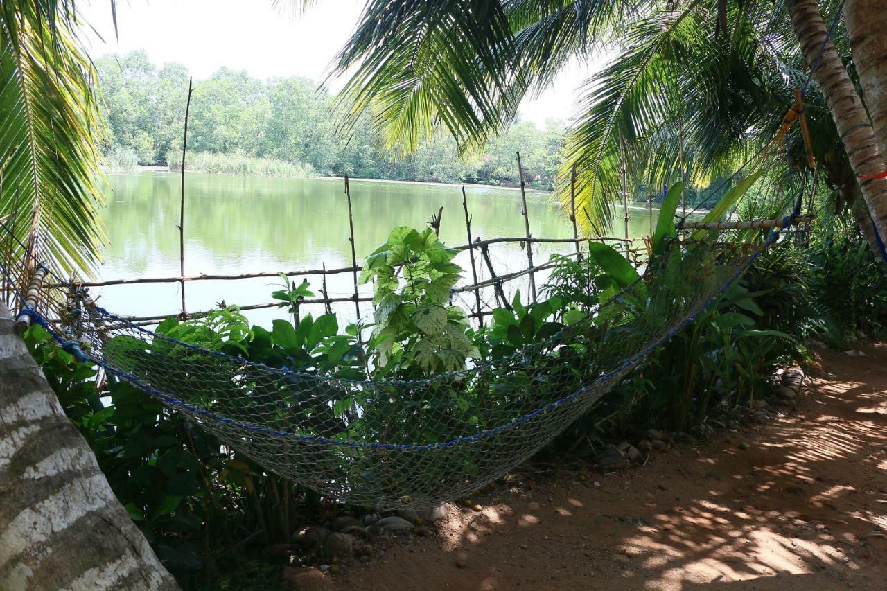 Lake View Cabana Paradise & Villa تانجالي المظهر الخارجي الصورة